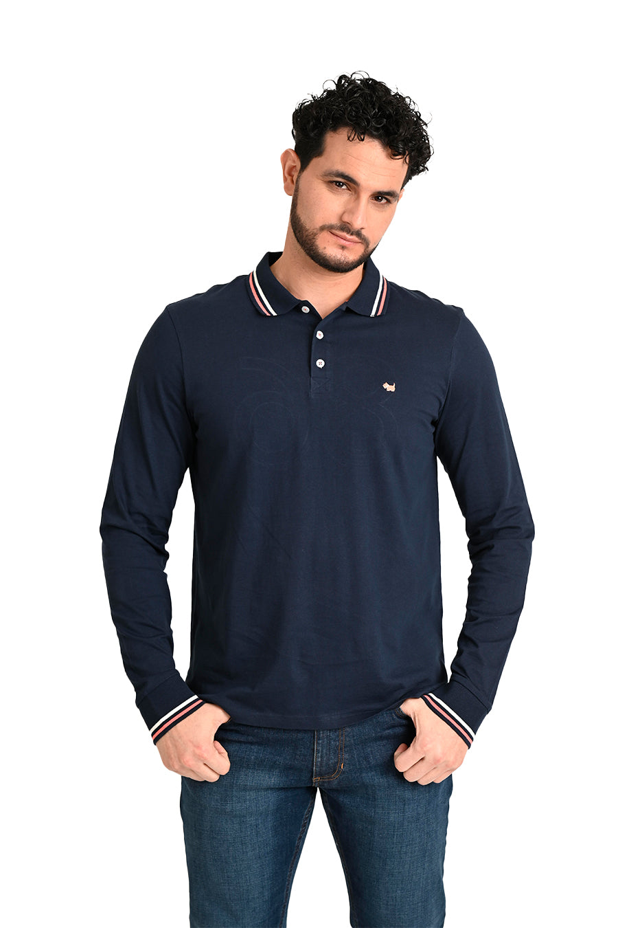 Playera tipo best sale polo ferrioni